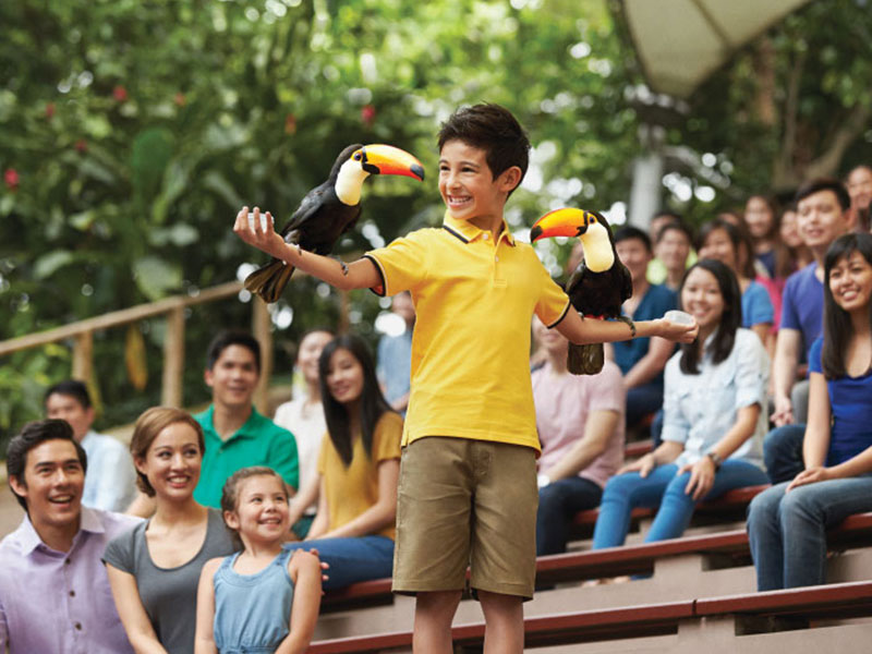 Jurong Bird Park Free & Easy with 2-way transfer