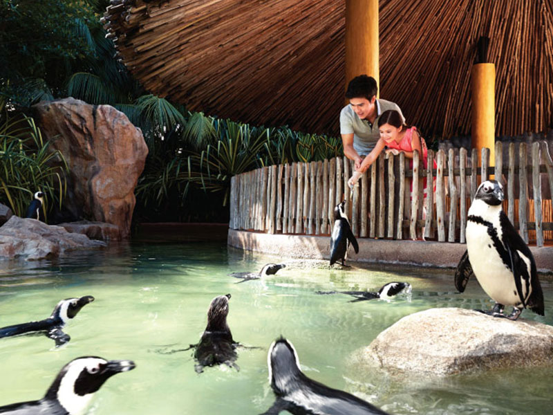 Jurong Bird Park Free & Easy with 2-way transfer